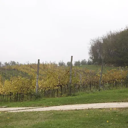 Marani Agroturismo Arcugnano