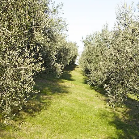 Marani * Arcugnano