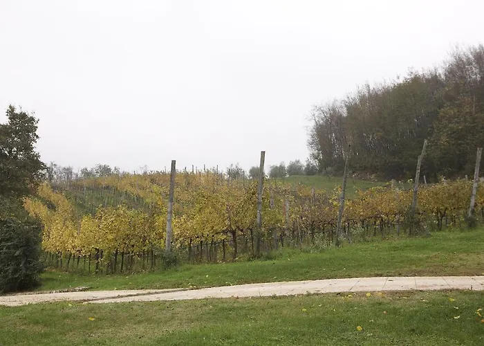 Marani Farm stay Arcugnano