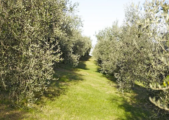 Marani * Arcugnano